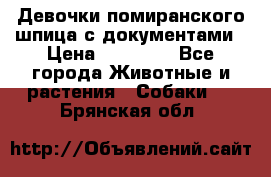 Девочки помиранского шпица с документами › Цена ­ 23 000 - Все города Животные и растения » Собаки   . Брянская обл.